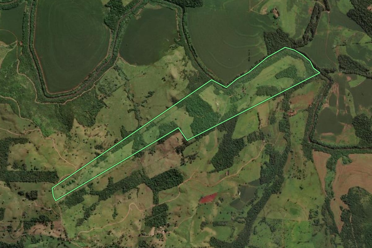 Imagem de satélite do imóvel rural em Mandaguari (PR), com o contorno declarado no CAR desenhado por cima.