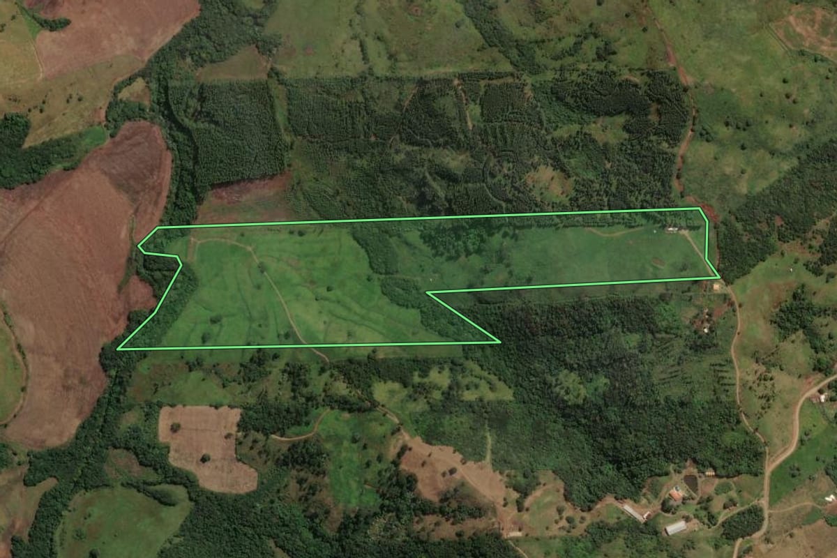 Imagem de satélite do imóvel rural em Mandaguari (PR), com o contorno declarado no CAR desenhado por cima.