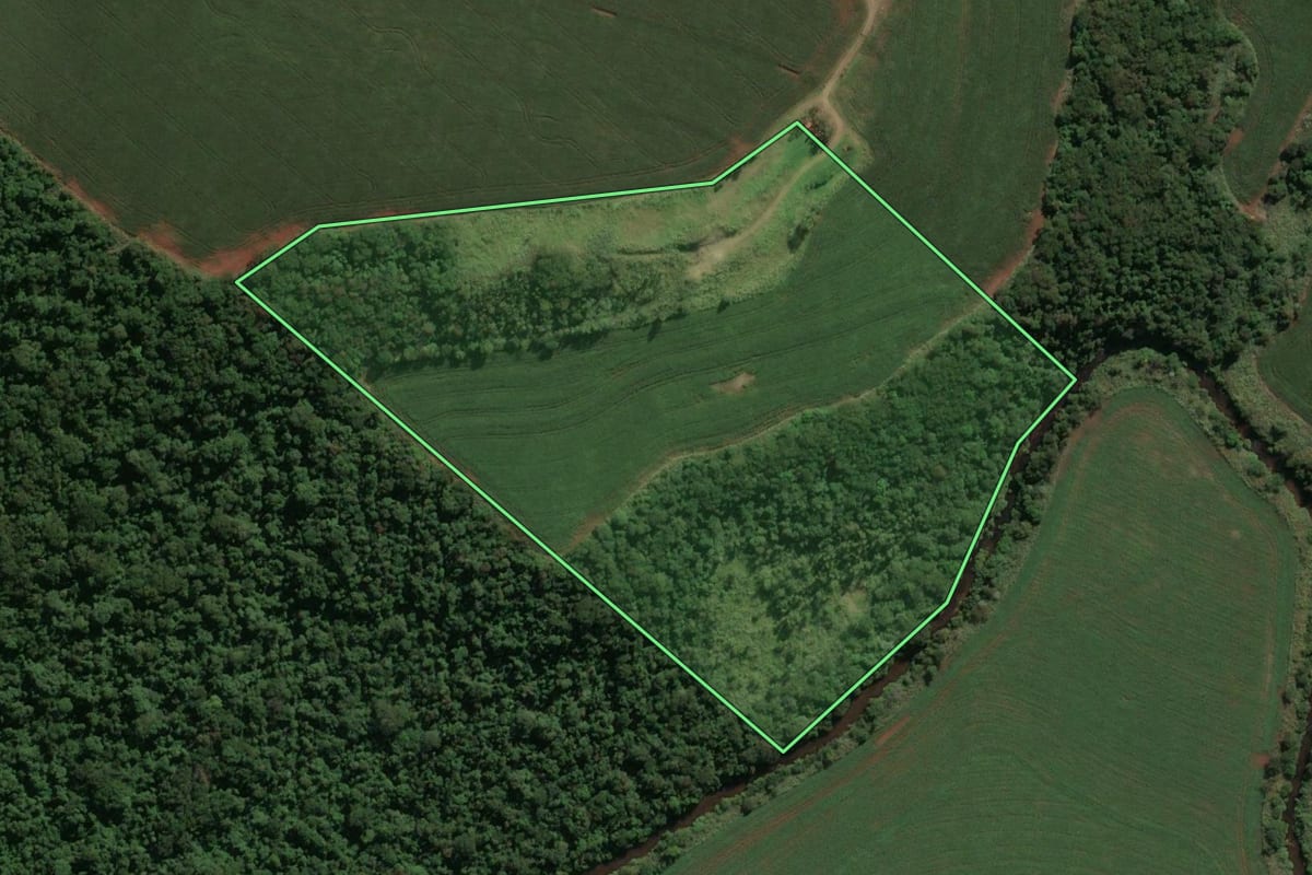 Imagem de satélite do imóvel rural em Mandaguari (PR), com o contorno declarado no CAR desenhado por cima.