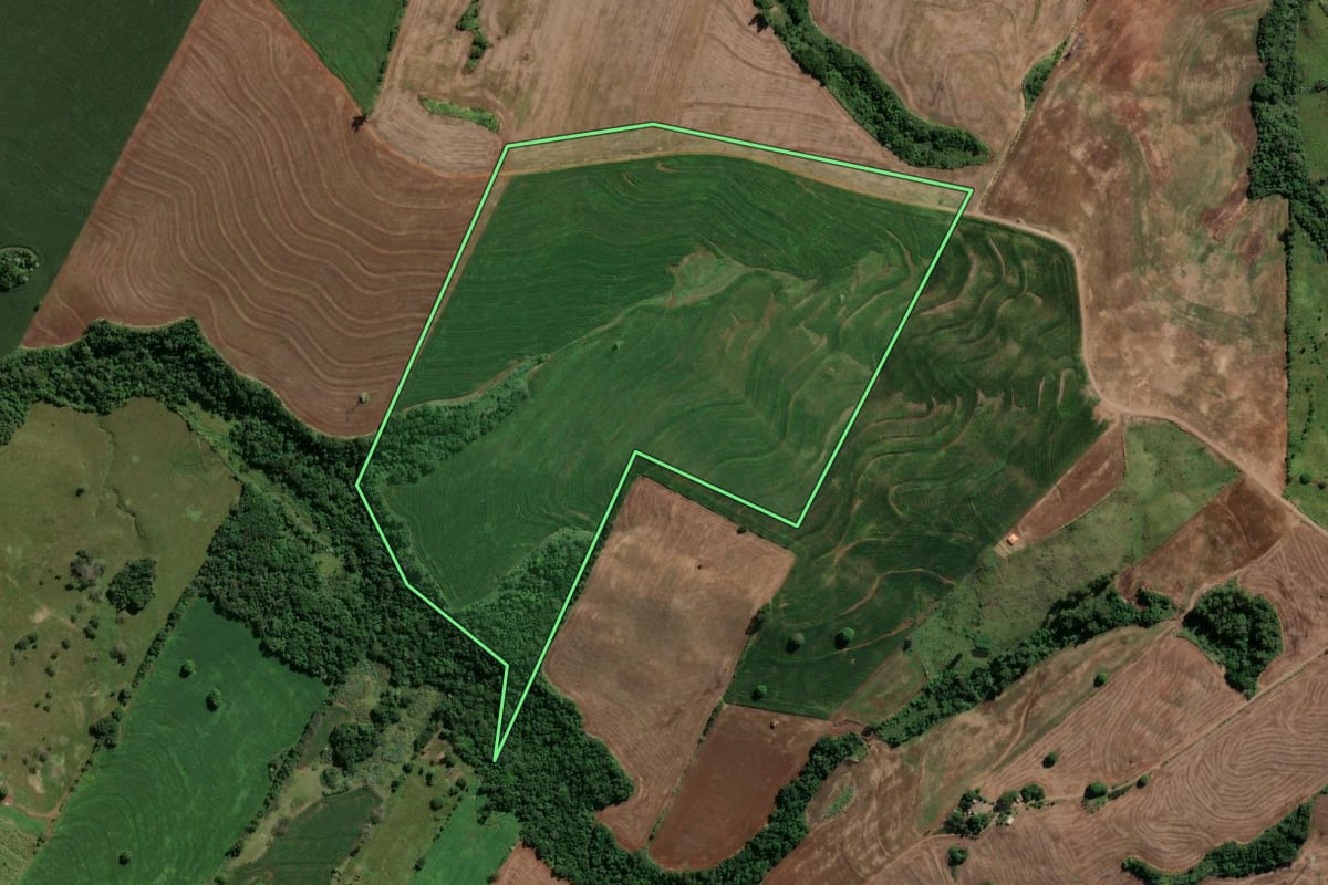 Imagem de satélite do imóvel rural em Mandaguari (PR), com o contorno declarado no CAR desenhado por cima.