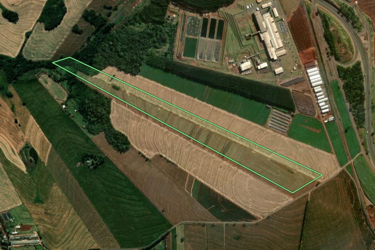 Imagem de satélite do imóvel rural em Mandaguari (PR), com o contorno declarado no CAR desenhado por cima.