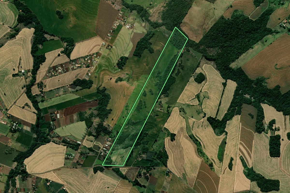 Imagem de satélite do imóvel rural em Mandaguari (PR), com o contorno declarado no CAR desenhado por cima.