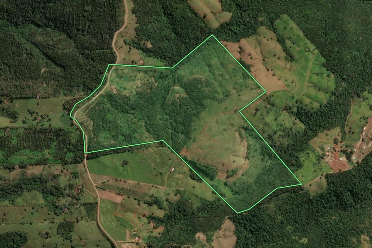 Imagem de satélite do imóvel rural em Mandaguari (PR), com o contorno declarado no CAR desenhado por cima.