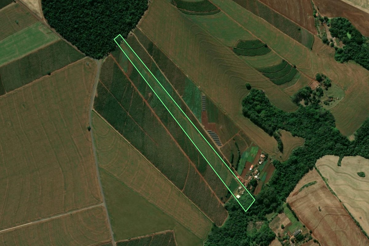 Imagem de satélite do imóvel rural em Mandaguari (PR), com o contorno declarado no CAR desenhado por cima.