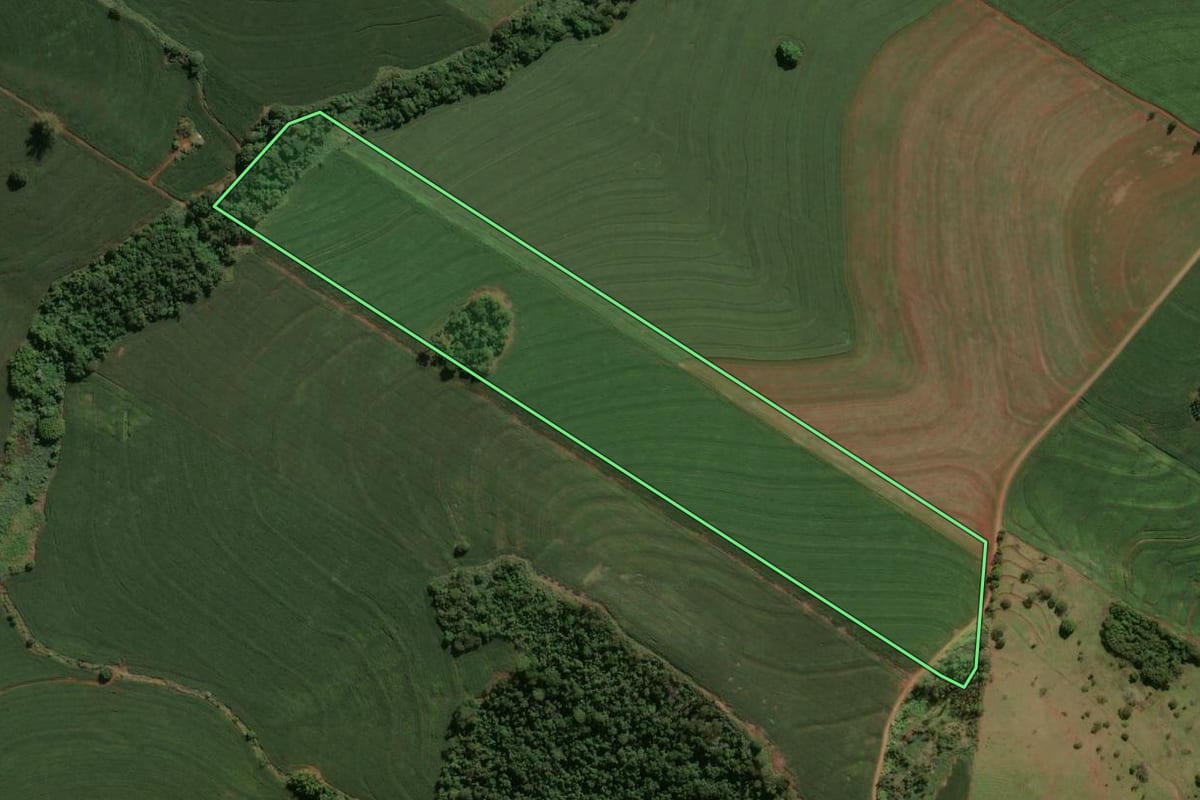 Imagem de satélite do imóvel rural em Mandaguari (PR), com o contorno declarado no CAR desenhado por cima.