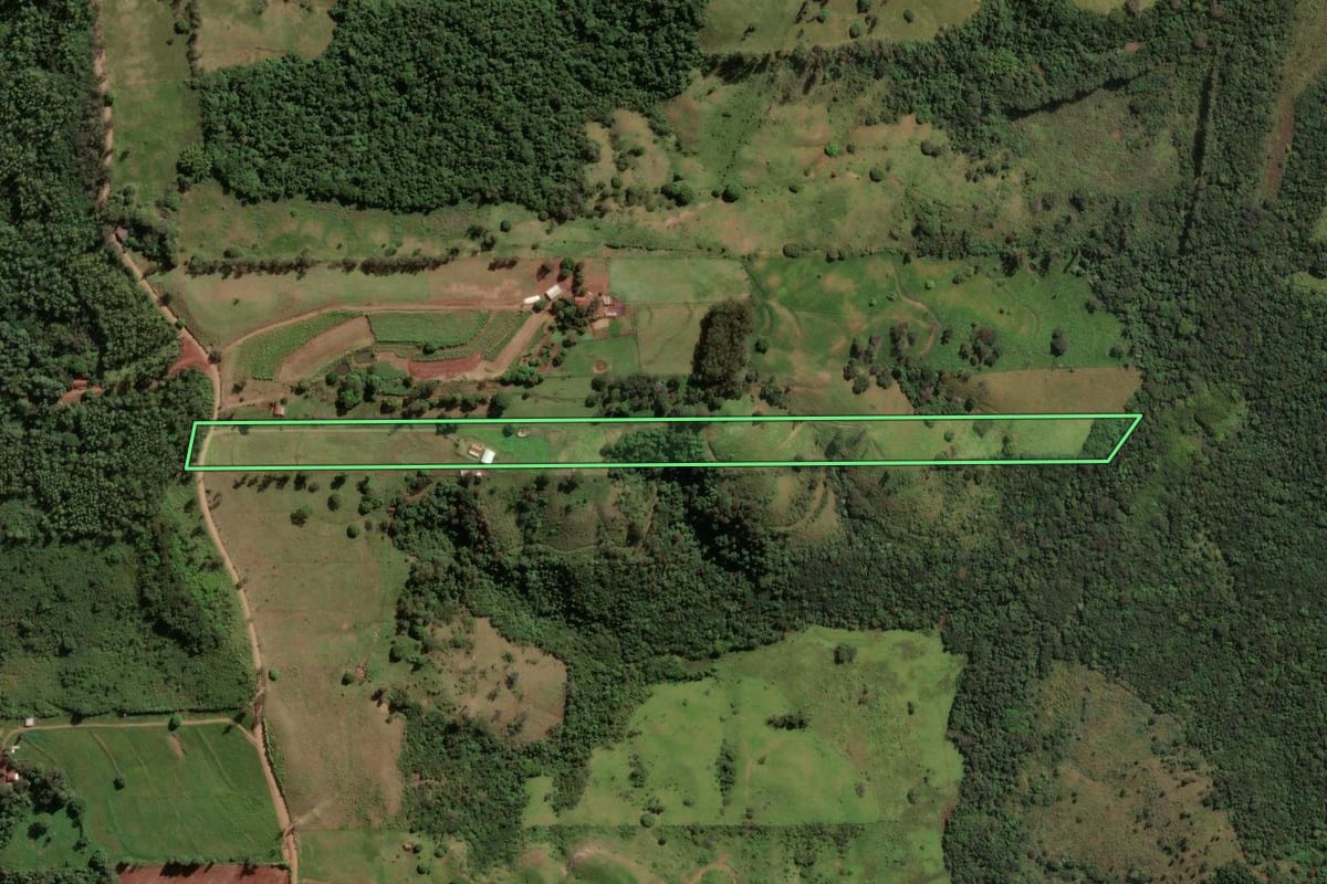 Imagem de satélite do imóvel rural em Mandaguari (PR), com o contorno declarado no CAR desenhado por cima.
