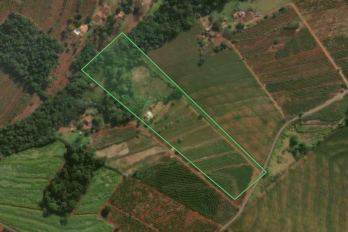 Imagem de satélite do imóvel rural em Mandaguari (PR), com o contorno declarado no CAR desenhado por cima.