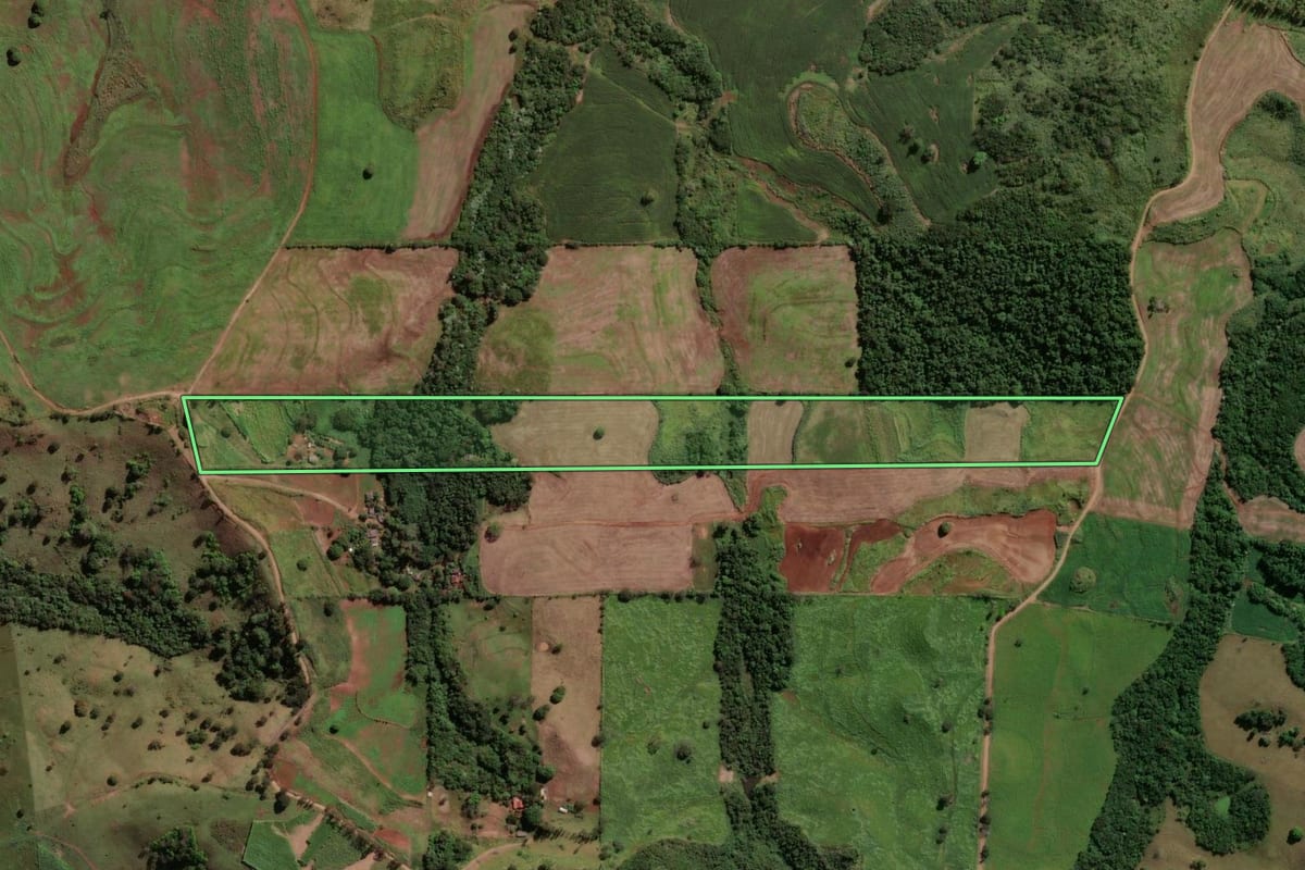 Imagem de satélite do imóvel rural em Mandaguari (PR), com o contorno declarado no CAR desenhado por cima.