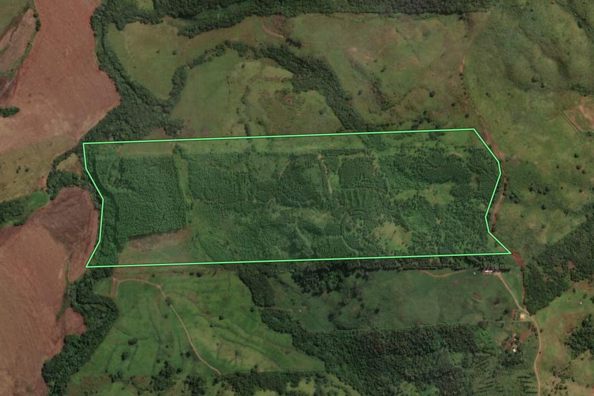 Imagem de satélite do imóvel rural em Mandaguari (PR), com o contorno declarado no CAR desenhado por cima.