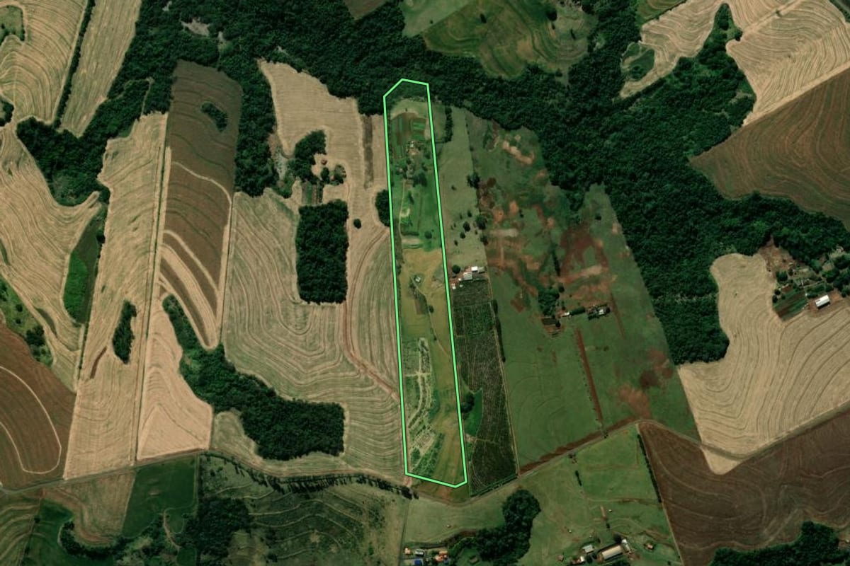 Imagem de satélite do imóvel rural em Mandaguari (PR), com o contorno declarado no CAR desenhado por cima.