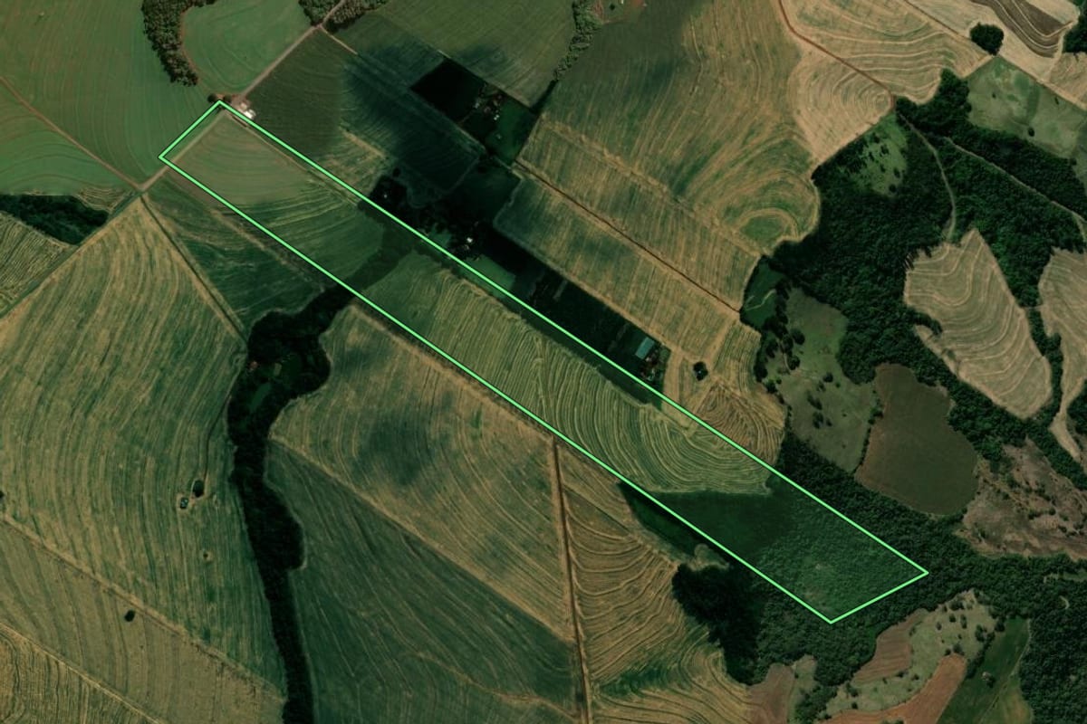 Imagem de satélite do imóvel rural em Mandaguari (PR), com o contorno declarado no CAR desenhado por cima.