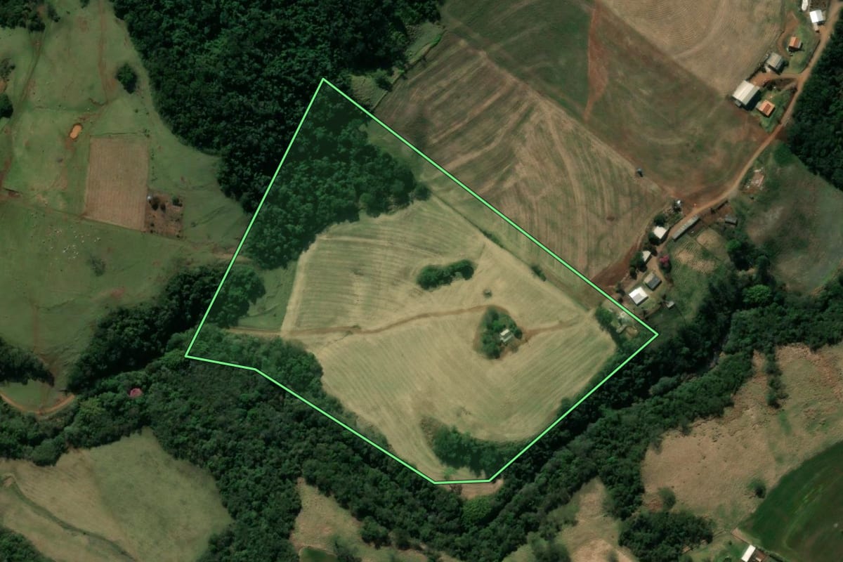 Imagem de satélite do imóvel rural em Mandaguari (PR), com o contorno declarado no CAR desenhado por cima.