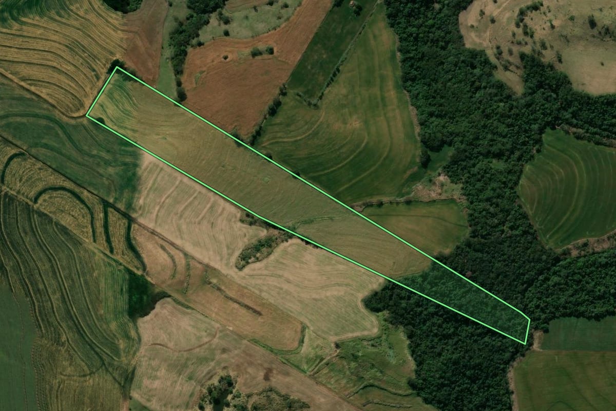 Imagem de satélite do imóvel rural em Mandaguari (PR), com o contorno declarado no CAR desenhado por cima.