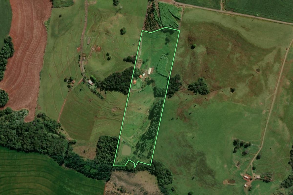 Imagem de satélite do imóvel rural em Mandaguari (PR), com o contorno declarado no CAR desenhado por cima.