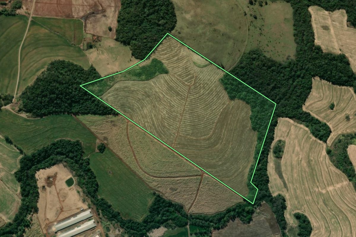 Imagem de satélite do imóvel rural em Mandaguari (PR), com o contorno declarado no CAR desenhado por cima.