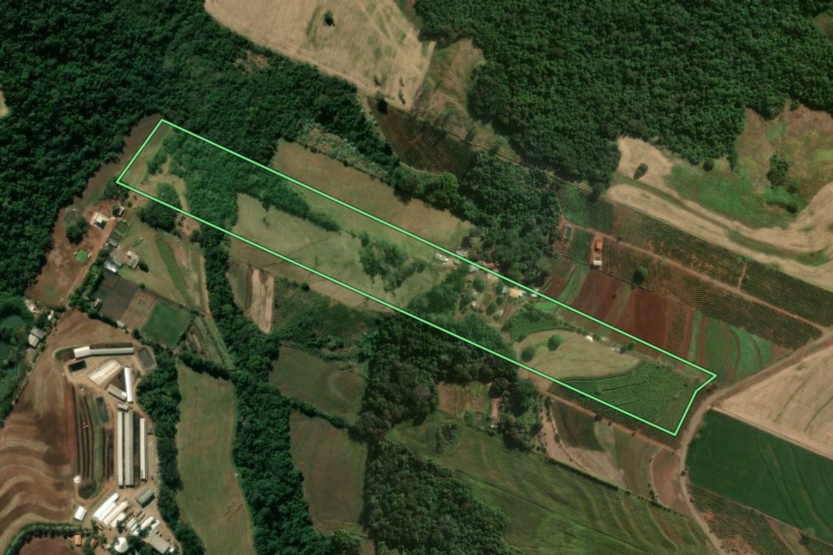 Imagem de satélite do imóvel rural em Mandaguari (PR), com o contorno declarado no CAR desenhado por cima.