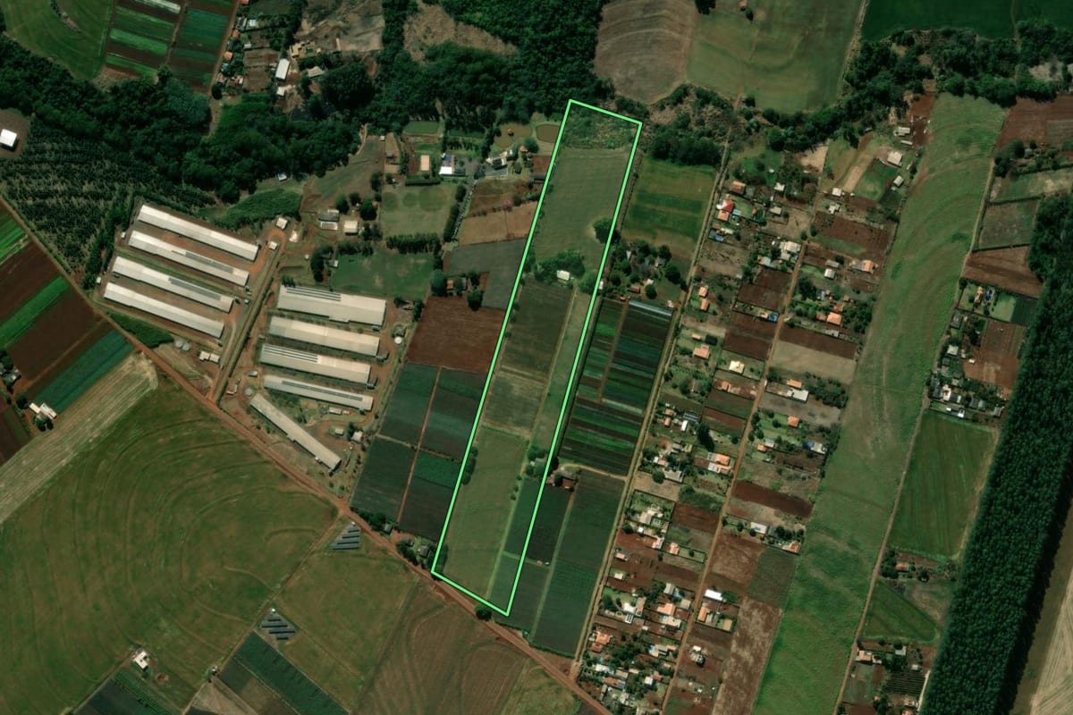 Imagem de satélite do imóvel rural em Mandaguari (PR), com o contorno declarado no CAR desenhado por cima.