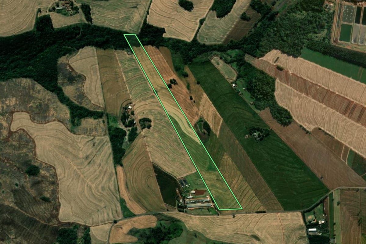 Imagem de satélite do imóvel rural em Mandaguari (PR), com o contorno declarado no CAR desenhado por cima.