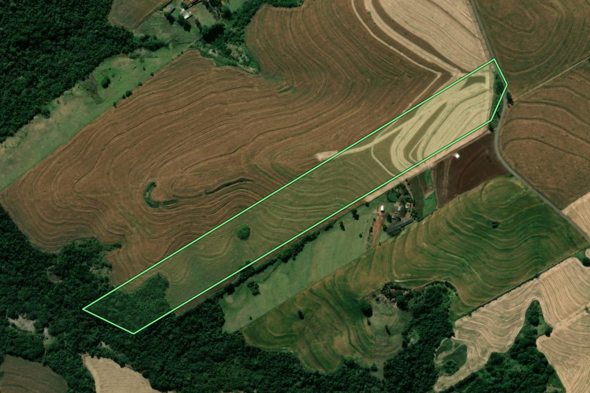 Imagem de satélite do imóvel rural em Mandaguari (PR), com o contorno declarado no CAR desenhado por cima.