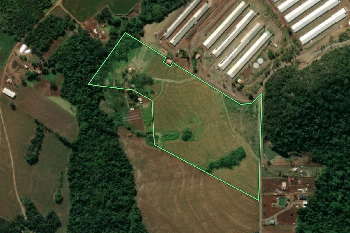 Imagem de satélite do imóvel rural em Mandaguari (PR), com o contorno declarado no CAR desenhado por cima.
