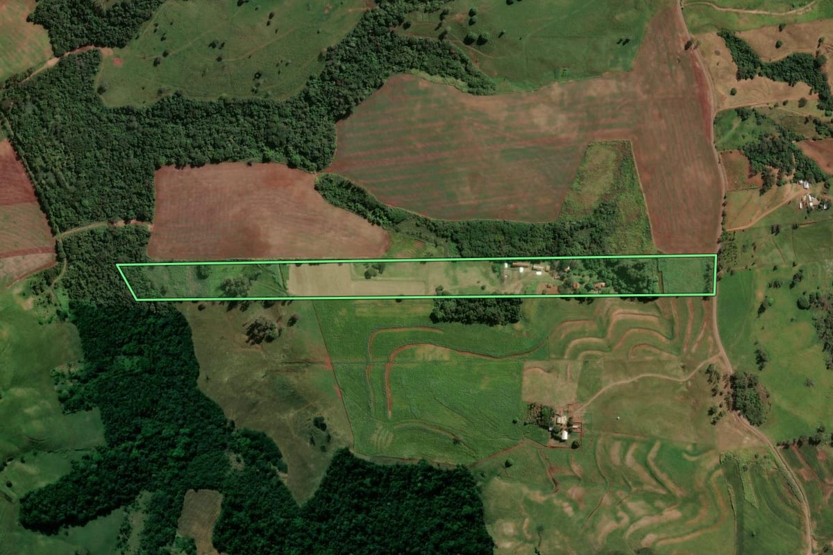 Imagem de satélite do imóvel rural em Mandaguari (PR), com o contorno declarado no CAR desenhado por cima.