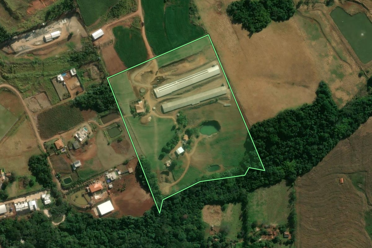 Imagem de satélite do imóvel rural em Mandaguari (PR), com o contorno declarado no CAR desenhado por cima.