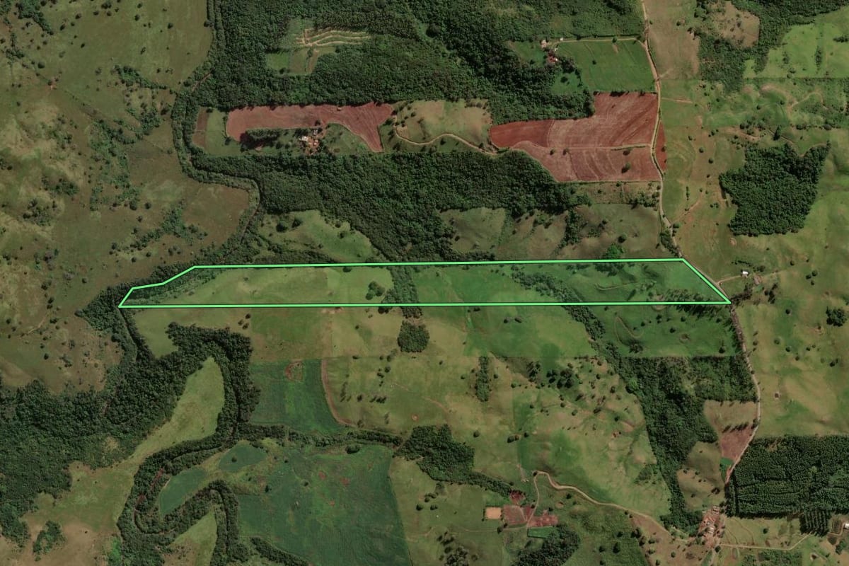 Imagem de satélite do imóvel rural em Mandaguari (PR), com o contorno declarado no CAR desenhado por cima.
