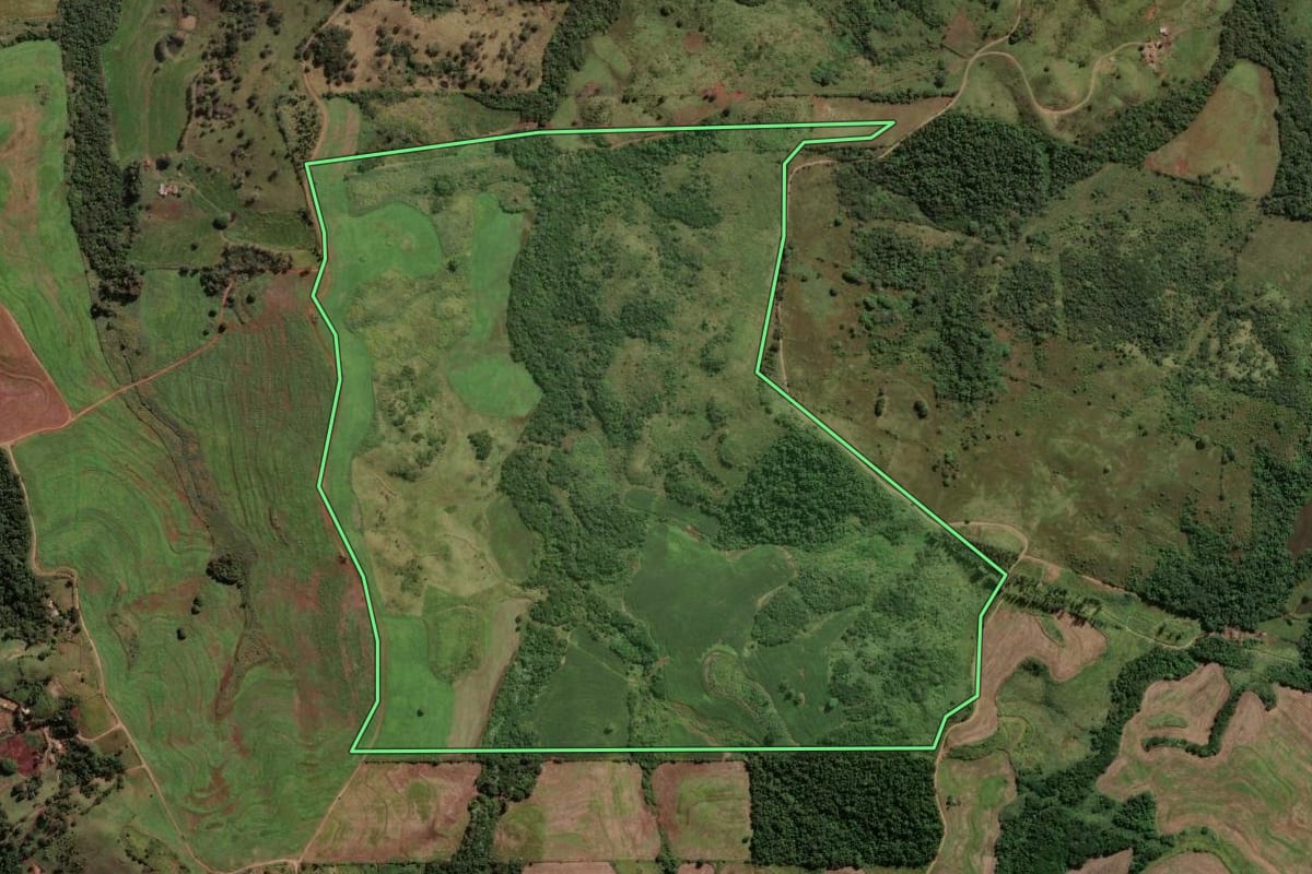 Imagem de satélite do imóvel rural em Mandaguari (PR), com o contorno declarado no CAR desenhado por cima.