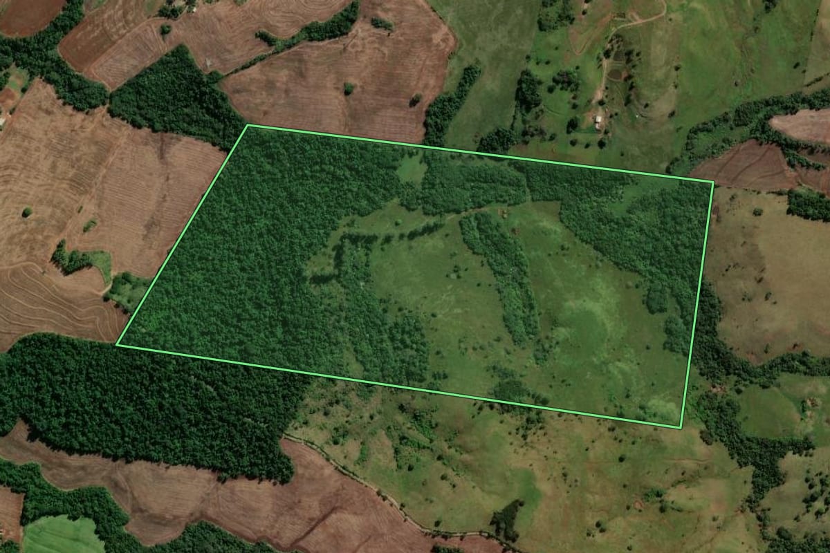Imagem de satélite do imóvel rural em Mandaguari (PR), com o contorno declarado no CAR desenhado por cima.