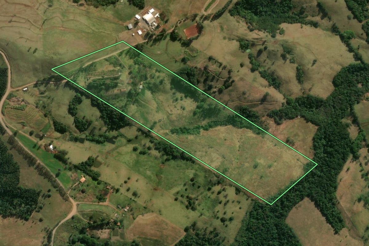 Imagem de satélite do imóvel rural em Mandaguari (PR), com o contorno declarado no CAR desenhado por cima.