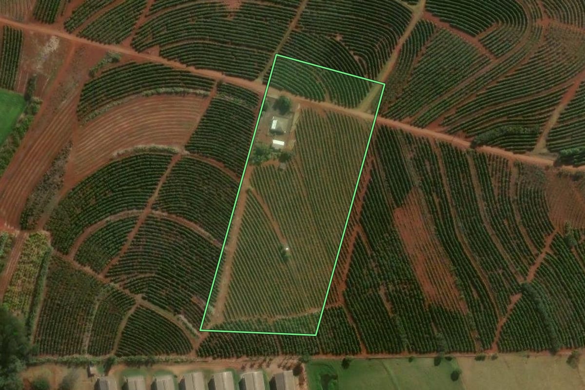 Imagem de satélite do imóvel rural em Mandaguari (PR), com o contorno declarado no CAR desenhado por cima.