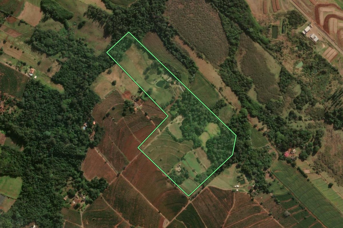 Imagem de satélite do imóvel rural em Mandaguari (PR), com o contorno declarado no CAR desenhado por cima.