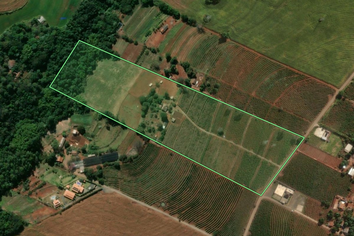 Imagem de satélite do imóvel rural em Mandaguari (PR), com o contorno declarado no CAR desenhado por cima.