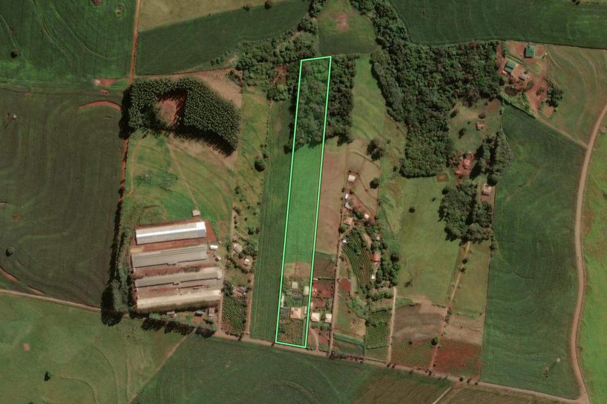Imagem de satélite do imóvel rural em Mandaguari (PR), com o contorno declarado no CAR desenhado por cima.
