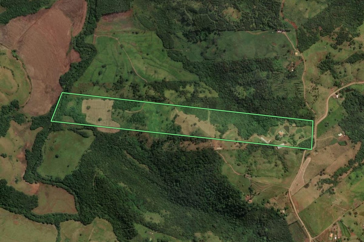Imagem de satélite do imóvel rural em Mandaguari (PR), com o contorno declarado no CAR desenhado por cima.