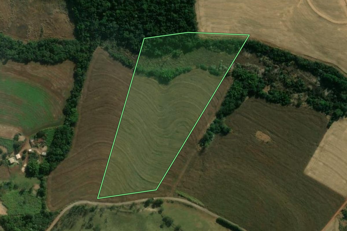 Imagem de satélite do imóvel rural em Mandaguari (PR), com o contorno declarado no CAR desenhado por cima.
