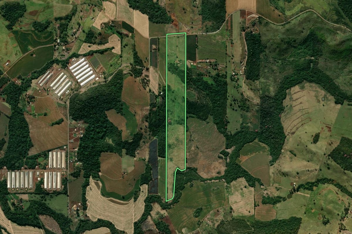 Imagem de satélite do imóvel rural em Mandaguari (PR), com o contorno declarado no CAR desenhado por cima.