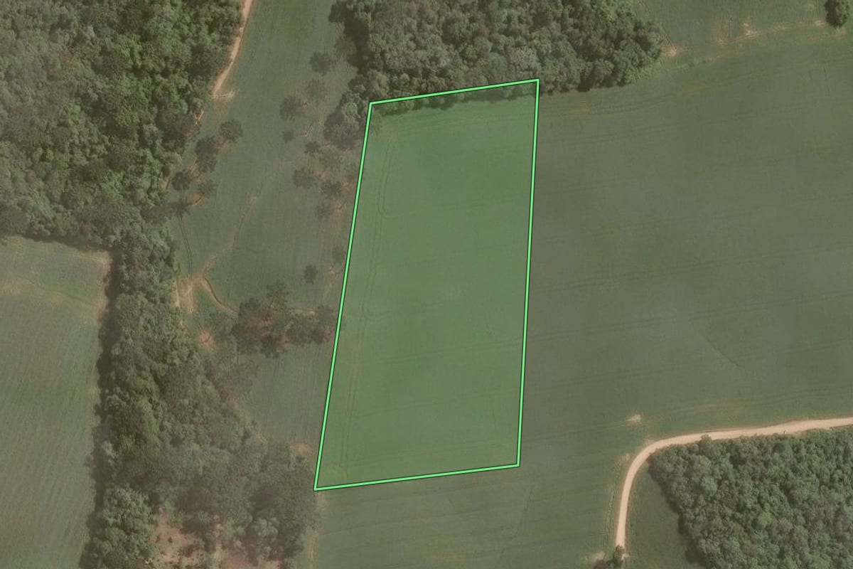 Imagem de satélite do imóvel rural em Mandirituba (PR), com o contorno declarado no CAR desenhado por cima.