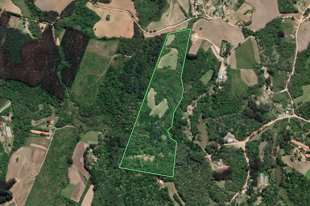 Imagem de satélite do imóvel rural em Mandirituba (PR), com o contorno declarado no CAR desenhado por cima.