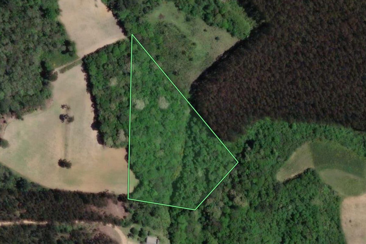 Imagem de satélite do imóvel rural em Mandirituba (PR), com o contorno declarado no CAR desenhado por cima.