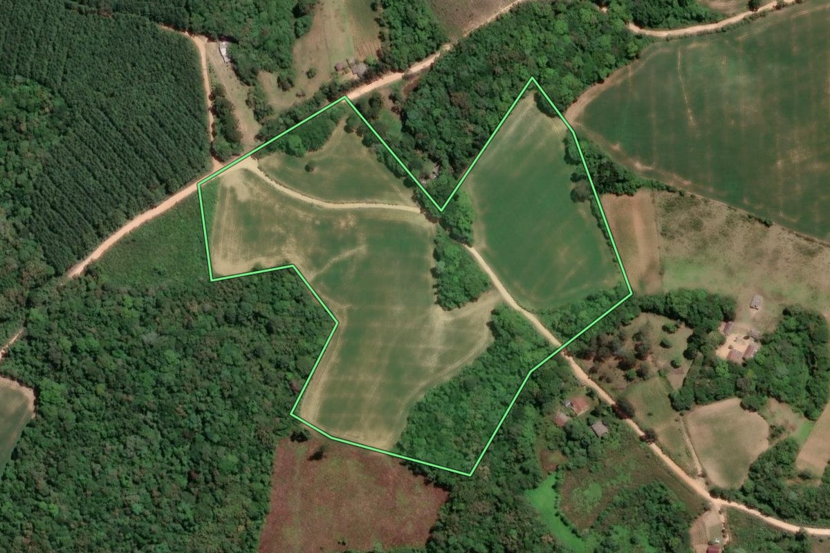 Imagem de satélite do imóvel rural em Mandirituba (PR), com o contorno declarado no CAR desenhado por cima.