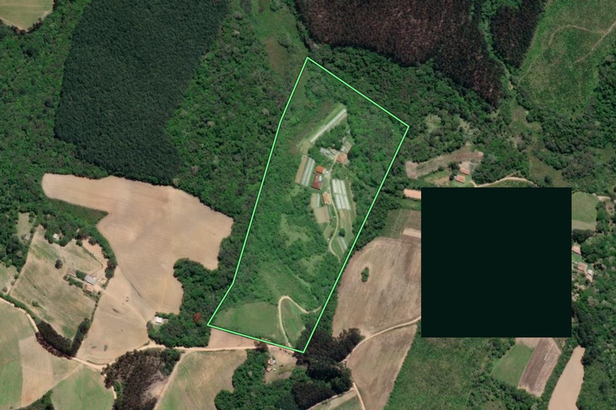 Imagem de satélite do imóvel rural em Mandirituba (PR), com o contorno declarado no CAR desenhado por cima.