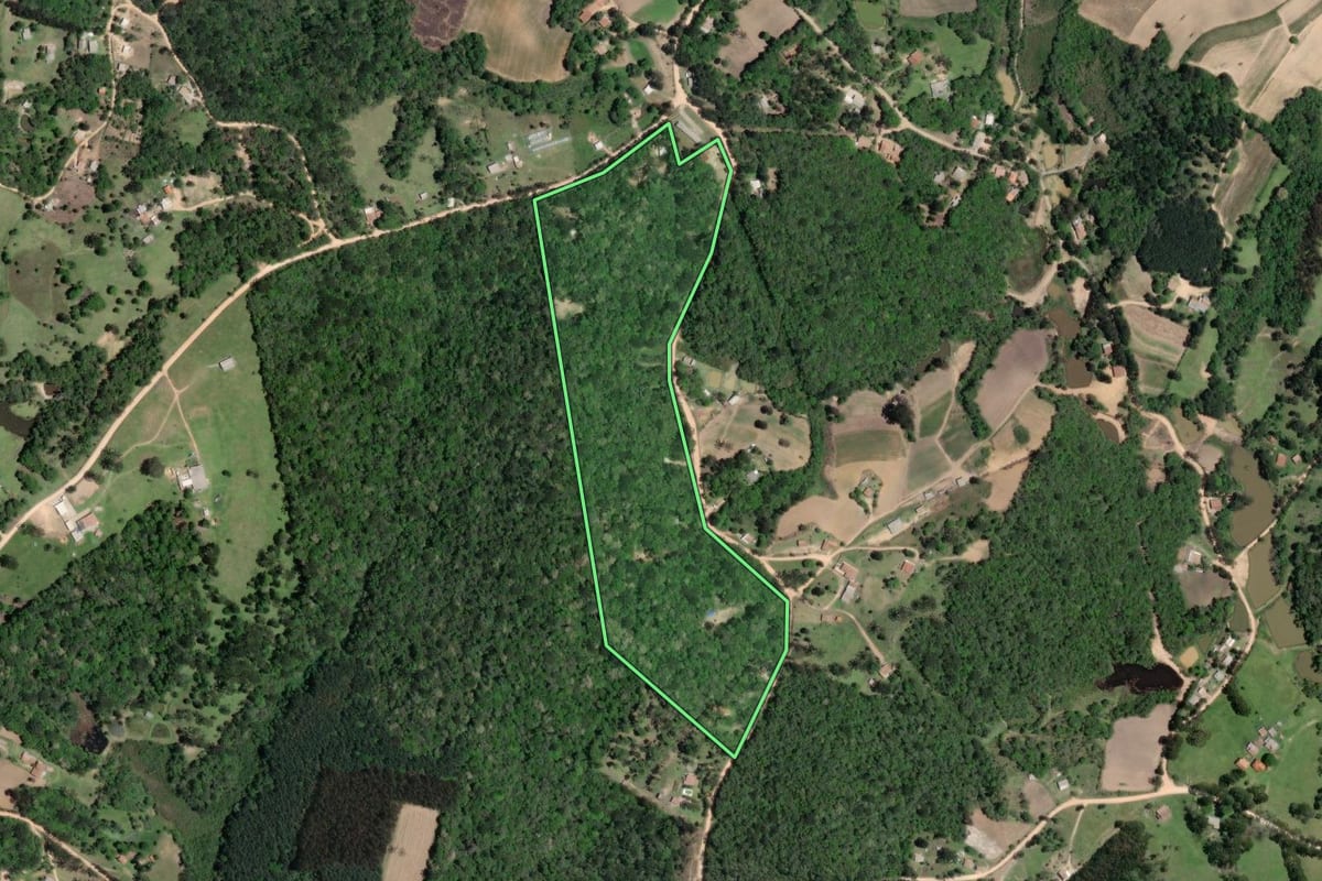 Imagem de satélite do imóvel rural em Mandirituba (PR), com o contorno declarado no CAR desenhado por cima.