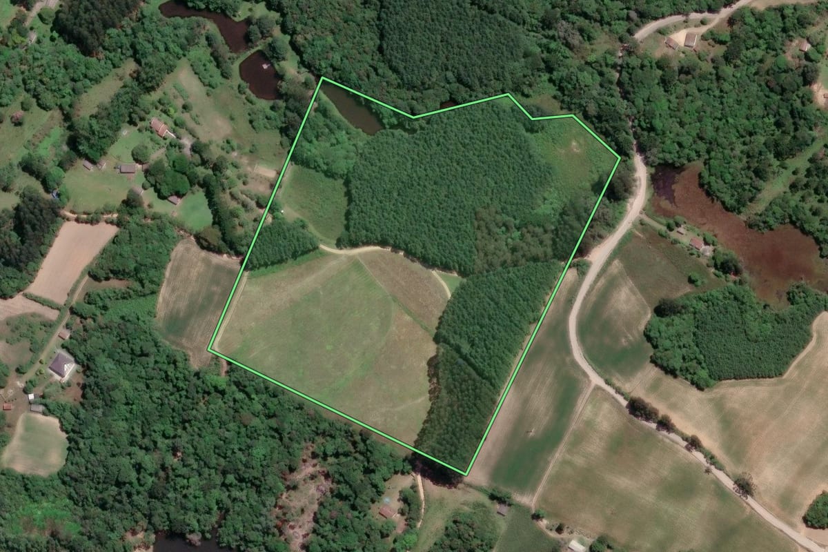 Imagem de satélite do imóvel rural em Mandirituba (PR), com o contorno declarado no CAR desenhado por cima.