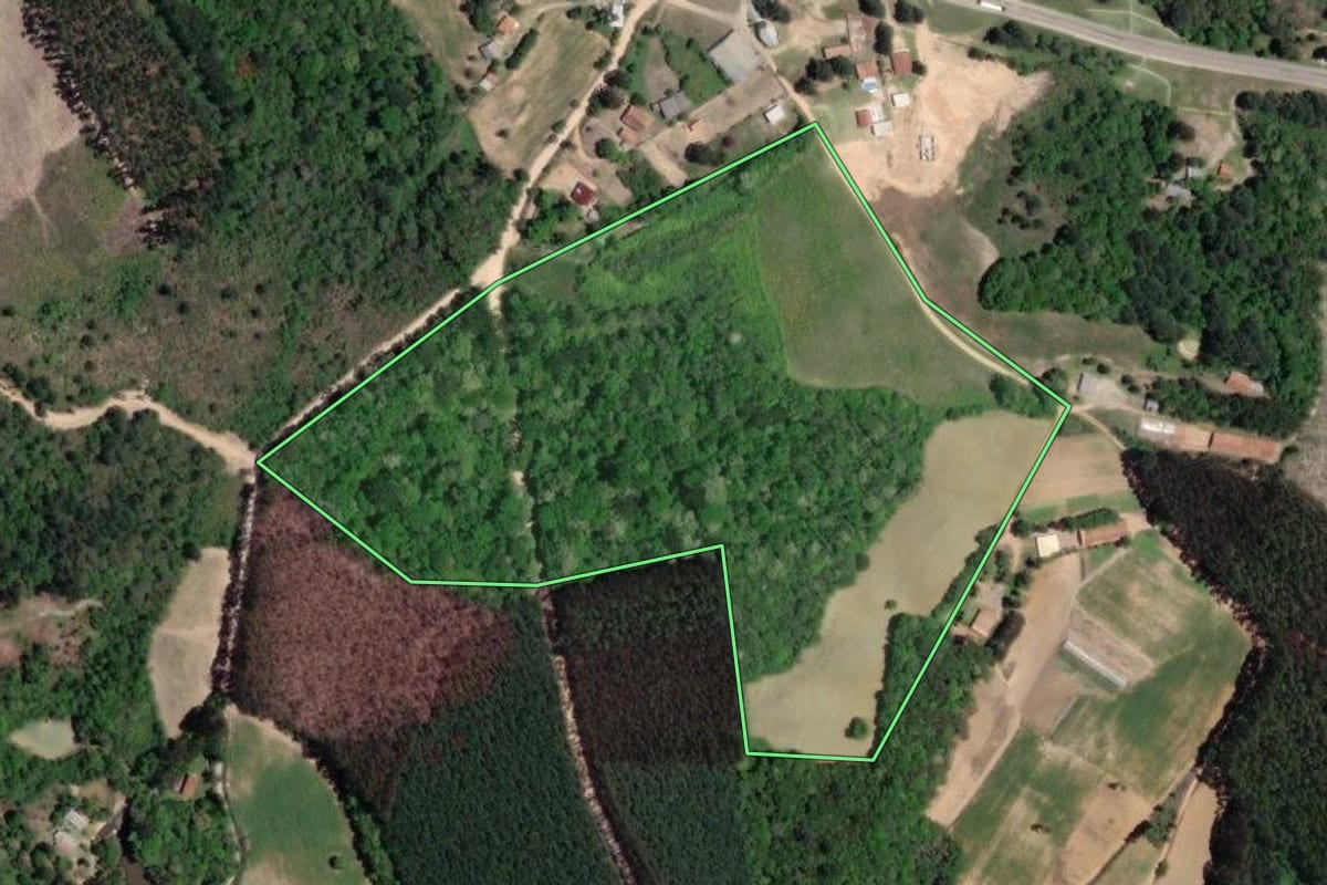 Imagem de satélite do imóvel rural em Mandirituba (PR), com o contorno declarado no CAR desenhado por cima.