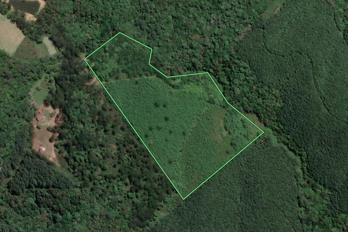 Imagem de satélite do imóvel rural em Mandirituba (PR), com o contorno declarado no CAR desenhado por cima.