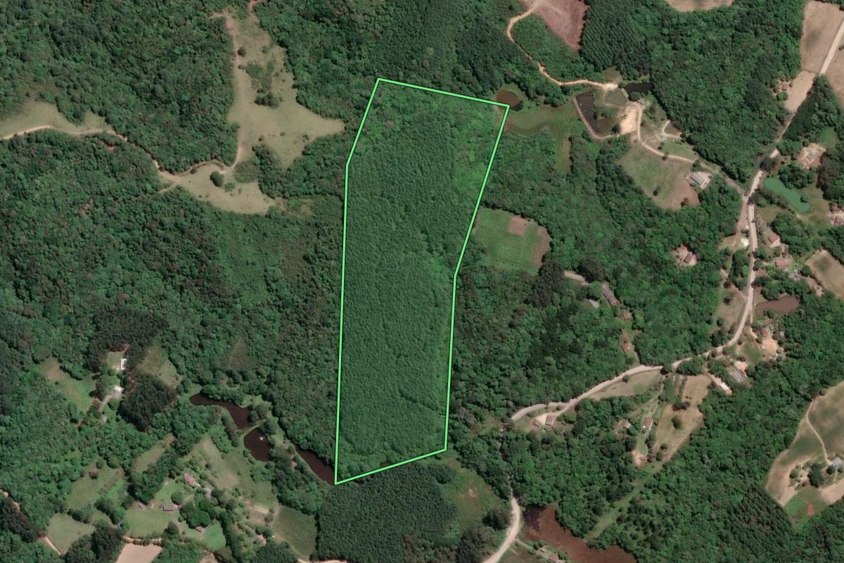 Imagem de satélite do imóvel rural em Mandirituba (PR), com o contorno declarado no CAR desenhado por cima.