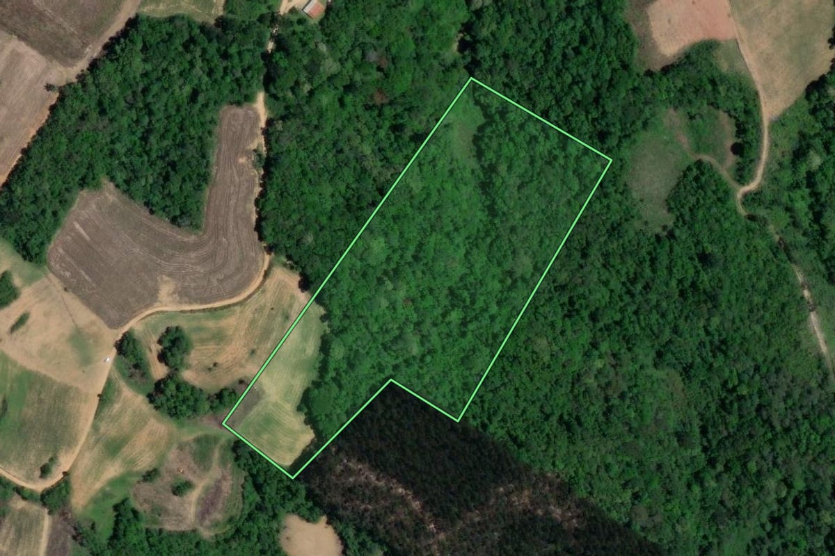 Imagem de satélite do imóvel rural em Mandirituba (PR), com o contorno declarado no CAR desenhado por cima.