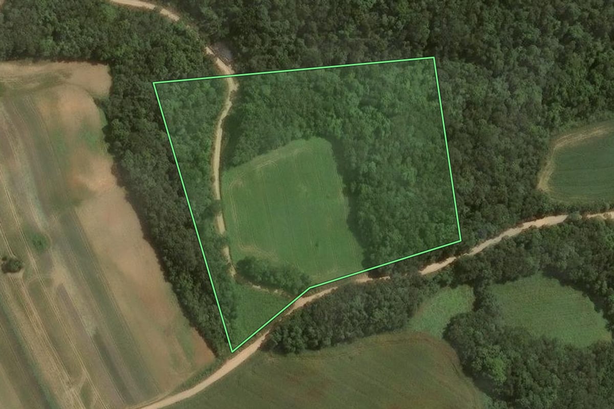 Imagem de satélite do imóvel rural em Mandirituba (PR), com o contorno declarado no CAR desenhado por cima.