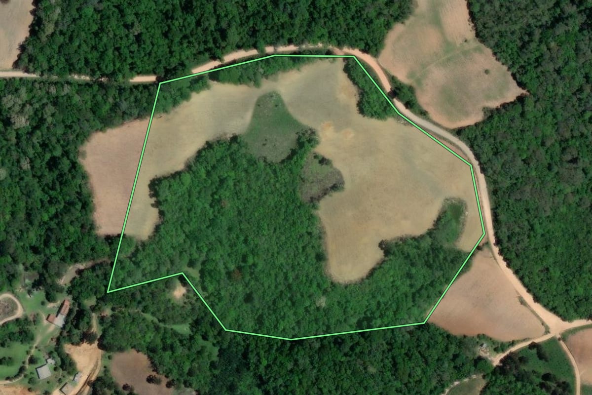 Imagem de satélite do imóvel rural em Mandirituba (PR), com o contorno declarado no CAR desenhado por cima.